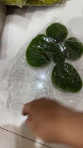 Moss Plant Simulation Moss Block Hair Planting Stone Size Matching Moss Stone Moss Lawn Flocking Decoration Soft Decoration