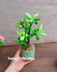 Chậu cây Tắc cây Quất bằng đất sét Nhật tự khô mang lại sung túc may mắn và bình an