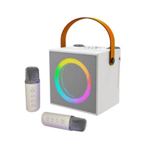 ลำโพงบลูทูธไร้สายแบบสเตอริโอ 3D พร้อมแอมพลิฟายเออร์ ลำโพงพกพาขนาดเล็กพร้อมไมโครโฟนคู่ เหมาะสำหรับดีเจ