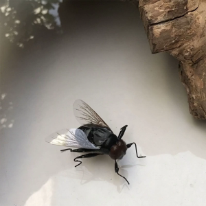 Magnetic Refrigerator Magnets with High Simulated Insect and Flies Clay Animal Model Teaching Aid for School Kitchen