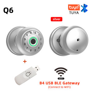 RAYKUBE Q6 Tuya BLE Smart Fingerprint Door Lock Electronic Lock with Password/Key/Smartlife/Tuya APP Unlock For Bedroom