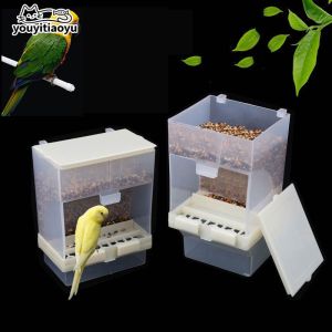 Bird Feeder Seed Container Cage Feeder Removable Plastic Automatic Matibay Sulit Clean Tray Parrot Canary Cockatiel