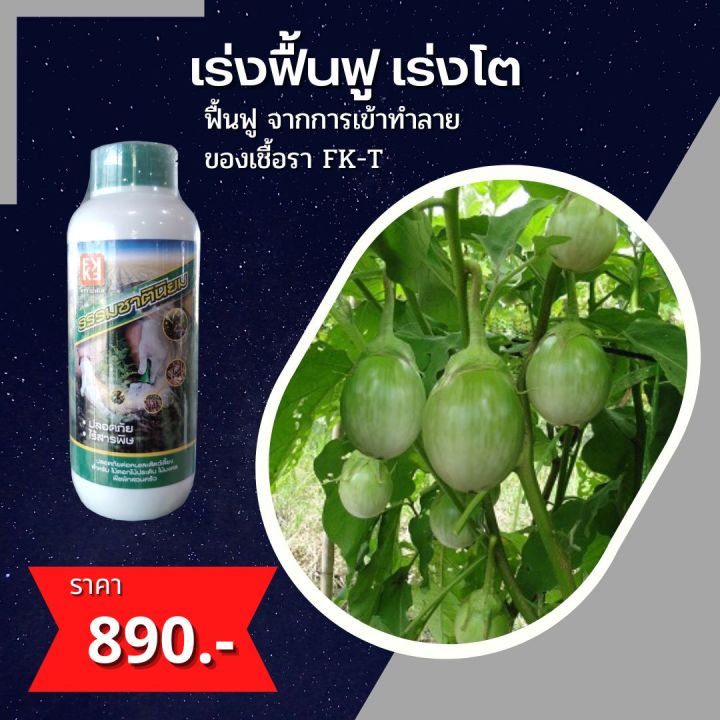 %E0%B8%A1%E0%B8%B0%E0%B9%80%E0%B8%82%E0%B8%B7%E0%B9%88%E0%B8%AD%20%E0%B8%9C%E0%B8%A5%E0%B8%A3%E0%B9%88%E0%B8%A7%E0%B8%87%20%E0%B9%83%E0%B8%9A%E0%B9%84%E0%B8%AB%E0%B8%A1%E0%B9%89%20%E0%B8%81%E0%B8%B3%E0%B8%88%E0%B8%B1%E0%B8%94%E0%B9%82%E0%B8%A3%E0%B8%84%E0%B8%A1%E0%B8%B0%E0%B9%80%E0%B8%82%E0%B8%B7%E0%B8%AD%20%E0%B8%88%E0%B8%B2%E0%B8%81%E0%B9%80%E0%B8%8A%E0%B8%B7%E0%B9%89%E0%B8%AD%E0%B8%A3%E0%B8%B2%E0%B8%95%E0%B9%88%E0%B8%B2%E0%B8%87%E0%B9%86%20%E0%B8%9B%E0%B8%A5%E0%B8%AD%E0%B8%94%E0%B8%AA%E0%B8%B2%E0%B8%A3%E0%B8%9E%E0%B8%B4%E0%B8%A9%20%E0%B9%84%E0%B8%AD%E0%B9%80%E0%B8%AD%E0%B8%AA%20%E0%B9%81%E0%B8%A5%E0%B8%B0%20FK-T(%E0%B9%83%E0%B8%8A%E0%B9%89%E0%B9%84%E0%B8%94%E0%B9%89%E0%B8%97%E0%B8%B8%E0%B8%81%E0%B8%9E%E0%B8%B7%E0%B8%8A)%E0%B9%82%E0%B8%94%E0%B8%A2%20FK%20-%20Image%202