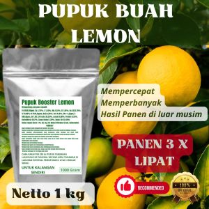 Pupuk Booster Lemon Pelebat Organik Cepat Berbuah Lebat Besar Anti Rontok Pembesar Lemon