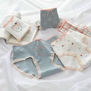 Combo 10 Quần Lót Nữ Cute Dễ Thương Cotton Điều Hoà Hoạ Tiết gấᴜ Mèo Perty Co Giãn 4 Chiều Kháng Khuẩn - C466