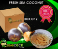 Fresh Sea Coconut | Kelapa Laut Segar (Box of 2). 