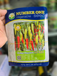 Hạt Giống Ớt Sừng Vàng F1 number one hp 888