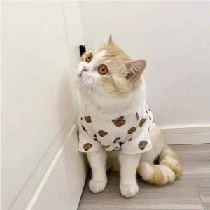 เสื้อยืดการ์ตูนหมีเสื้อผ้าสุนัขแมวเสื้อผ้าเสื้อจูงสุนัขเท็ดดี้ไบชอนนิ่ม