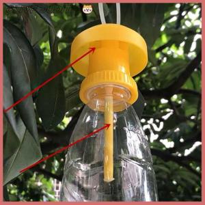 CISWGE Fruit Fly Killer Plastic Drosophila Fly Catcher pest Insect control