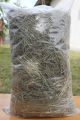 TIMOTHY Hay for Rabbit, Hamster, Guinea Pig 1KG. 
