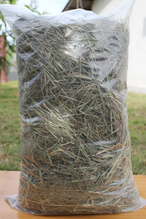 TIMOTHY%20Hay%20for%20Rabbit,%20Hamster,%20Guinea%20Pig%201KG%20-%20Image%202