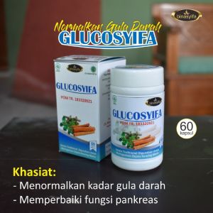 GLUCOSYIFA Obat Herbal Diabetes Menormalkan Gula Darah Kencing Manis Anti Diabetes Darah Tinggi