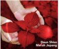 Zen Anti bacterial Bar Soap  Sabun Mandi  Sabun Kesehatan  Sabun Batang  Sabun Zen 70gr - Shinzui  POV Store. 