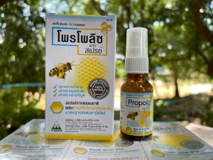 โพรโพลิซ Propoliz Mouth Spray โพรโพลิซเมาท์สเปรย์ แก้เจ็บคอ ติดเชื้อในช่องปาก และลําคอ 15 ml 1 ขวด/Dom2564
