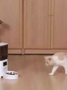 WiFi Smart Cat Feeder With Camera Automatic Dog Feeder For Long-Term Storage And Precise Feeding