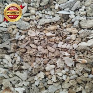 BATU KARANG LAUTHIASAN AQUARIUM/BONSAI ASLI PESISIR PANTAI GARUT SELATAN