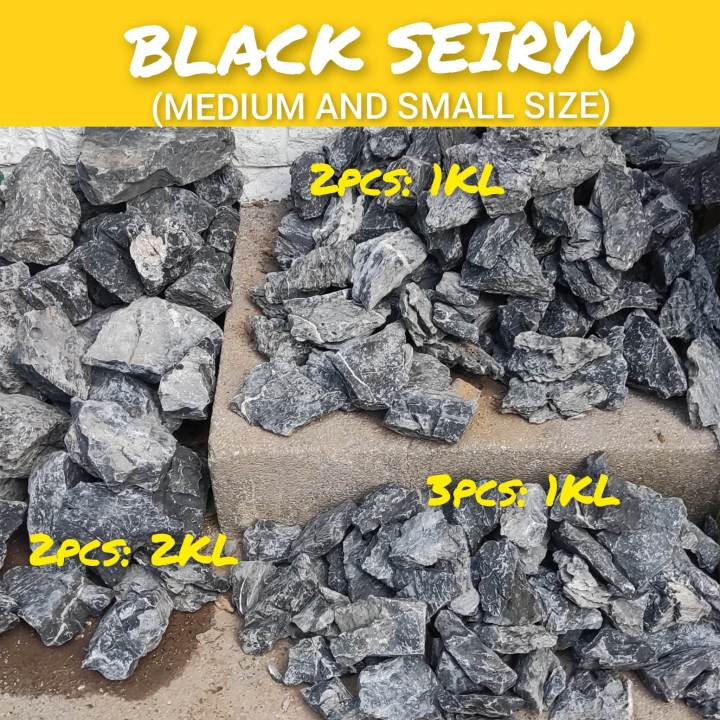 Large Detailing Small and Medium Seiryu Stone P39 SALE