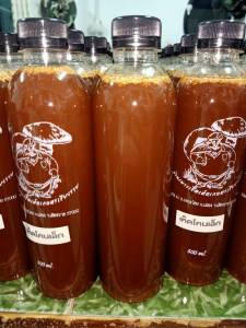 เชื้อเห็ดโคนเห็ดปลวก (ดอกเล็ก) ขนาด 500 มล.