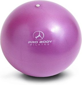 ProBody Pilates Ball Small Fitness Ball 9 Inch ( about 22.9 cm ) Bally Ball Soft Yoga Ball Stable Fitness Abdominal Muscle Core Physical and Physical Therapy Ball Home Gym & Office