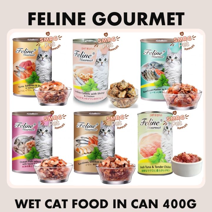 Is Feline Gourmet Good For Kittens Is Feline Gourmet Good For Kittens