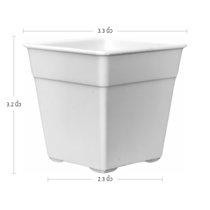 กระถาง กระถางแคคตัส กระถางสี่เหลี่ยม ขนาด 3.3 นิ้ว สีขาว 50 ใบ ชิ้น อัน