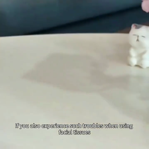 Tissue Organizers Featuring Lift Technology For Kitchen Counter Table