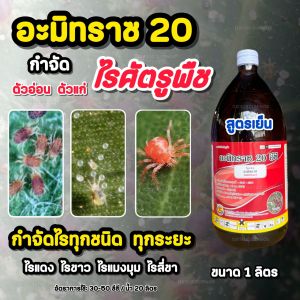 กำจัดไรแดง ไรแดง อะมิทราซ 1ลิตร ใช้ป้องกันกำจัดไร สารกำจัดไร ไรแดง ไรสี่ขา ไรขาว ไรแมงมุม ใช้ใน ทุเรียน มันสำปะหลัง สวน พริก มะนาว ส้ม กระเทียม