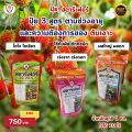 ปุ๋ยสตาร์เฟอร์ 3 สูตร ครบทุกความต้องการของต้นเงาะ สูตรเร่งโต สูตรเร่งราก เร่งดอก สูตรเร่งผล ขยายขนาด เพิ่มผลผลิต. 