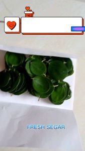 Daun Bidara Arab Asli Segar 50 lembar - Buah Bidara - Daun Bidara untuk Promil - Daun Rukyah Jin