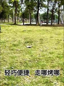 便携式折叠烧烤炉户外家用烧烤小型室内露营野餐炉子