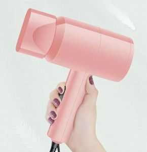 Blower Hair Dryer Quick Dry Portable High Power Low Noise Foldable Negative Ion Quick Dry Hair Blower Pet Hair dyer