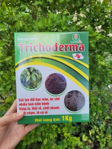 [THIEN THINH SHOP] Nấm Trichoderma dùng trộn phân ủ phân rãi gốc giúp ngừa bệnh tốt đất phân hủy rác thải thực vật hộp 1kg