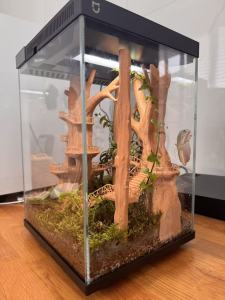 Decor Bể Cá Nhà Cây Mini In 3D Nhựa PETG Cao Cấp – Tiểu Cảnh Thủy Sinh Nghệ Thuật Trang Trí Bể Cá Độc Đáo