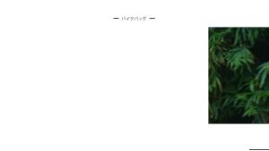 Lixada Mesh Suit Set with Jacket Hood Mitts Socks & Storage Sack - Ultra-fine Net Mesh Clothing for Fishing Hiking Camping