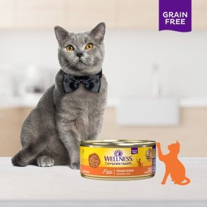 【Pet Mates】Wellness Complete Health - Grain-Free Pate Smooth Loaf Wet Cat Food 5.5oz (156g) | 9 Tasty Flavors