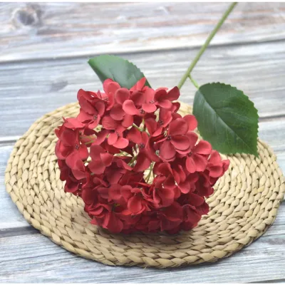 KOZY.ID - Bunga Hydrangea HORTENSIA 70CM Bulat Jumbo 1Kuntum Premium