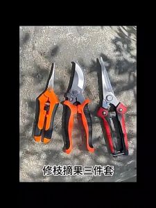 Garden Shears Gardening Shears Garden Scissors Stainless Steel Functional Tools Non-Slip Clippers For Trimming Vegetable Grass