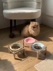 Single/Double Bowl Cat Bowl with Acrylic Stand Protect Cervical Spine Anti-Spill CeramicFood Basin Anti-vomiting2026
