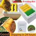 【Multifunction】Bee Hive Beekeeping King Box Pollination Box Beekeeping Supplies Hive Case Bee Hive Home Beehive Bee Garden Box Pollination Beekeeping Sets. 