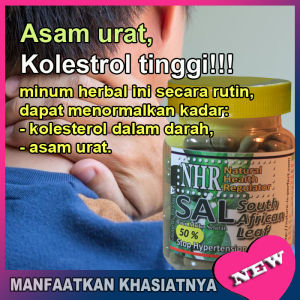 NHR South African Leaf (SAL) 50%  untuk darah tinggi (hipertensi) - menurunkan gula darah (diabetes)