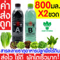 *ค่าส่งถูก* สารละลาย AB ไฮโดรโปนิกส์ เอบี ธาตุอาหาร น้ำ ผักไฮโดร Hydroponics สลัด ผักไทย ผักกาด ผักจีน ปลูกพืชไร้ดิน ปลูกผักไฮโดร. 