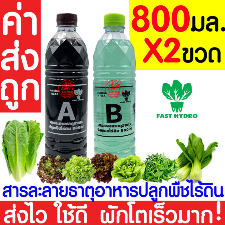 *%E0%B8%84%E0%B9%88%E0%B8%B2%E0%B8%AA%E0%B9%88%E0%B8%87%E0%B8%96%E0%B8%B9%E0%B8%81*%20%E0%B8%AA%E0%B8%B2%E0%B8%A3%E0%B8%A5%E0%B8%B0%E0%B8%A5%E0%B8%B2%E0%B8%A2%20AB%20%E0%B9%84%E0%B8%AE%E0%B9%82%E0%B8%94%E0%B8%A3%E0%B9%82%E0%B8%9B%E0%B8%99%E0%B8%B4%E0%B8%81%E0%B8%AA%E0%B9%8C%20%E0%B9%80%E0%B8%AD%E0%B8%9A%E0%B8%B5%20%E0%B8%98%E0%B8%B2%E0%B8%95%E0%B8%B8%E0%B8%AD%E0%B8%B2%E0%B8%AB%E0%B8%B2%E0%B8%A3%20%E0%B8%99%E0%B9%89%E0%B8%B3%20%E0%B8%9C%E0%B8%B1%E0%B8%81%E0%B9%84%E0%B8%AE%E0%B9%82%E0%B8%94%E0%B8%A3%20Hydroponics%20%E0%B8%AA%E0%B8%A5%E0%B8%B1%E0%B8%94%20%E0%B8%9C%E0%B8%B1%E0%B8%81%E0%B9%84%E0%B8%97%E0%B8%A2%20%E0%B8%9C%E0%B8%B1%E0%B8%81%E0%B8%81%E0%B8%B2%E0%B8%94%20%E0%B8%9C%E0%B8%B1%E0%B8%81%E0%B8%88%E0%B8%B5%E0%B8%99%20%E0%B8%9B%E0%B8%A5%E0%B8%B9%E0%B8%81%E0%B8%9E%E0%B8%B7%E0%B8%8A%E0%B9%84%E0%B8%A3%E0%B9%89%E0%B8%94%E0%B8%B4%E0%B8%99%20%E0%B8%9B%E0%B8%A5%E0%B8%B9%E0%B8%81%E0%B8%9C%E0%B8%B1%E0%B8%81%E0%B9%84%E0%B8%AE%E0%B9%82%E0%B8%94%E0%B8%A3%20-%20Image%202