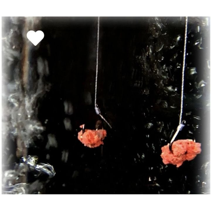 M4%20Umpan%20Bubuk%20Cacing%20Merah%20A60/%20Umpan%20pancing%20QS%20-%20Image%207