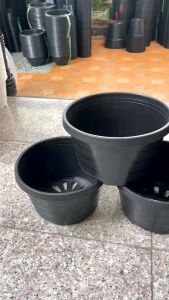 กระถางทรงเตี้ย 10 นิ้ว แพ็คละ 5 ใบ