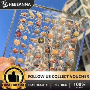 hebeanna กล่องแม่เหล็กเปลือกหอยอะคริลิคใสเปลือกหอยปลาดาวกล่องเก็บของขนาดเล็ก36 64 100ช่อง