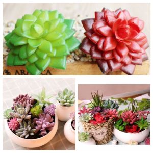 X MOM BABY สดใส สวน มินิมอล DIY กระบองเพชร พลาสติก Succulents ประดิษฐ์ พืชปลอม