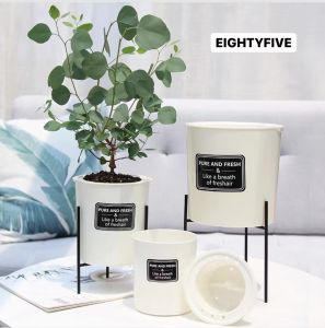 eightyfive กระถางพร้อมขาตั้ง กระถางต้นไม้ แบบเก็บน้ำได้ รดน้ำอัตโนมัติ