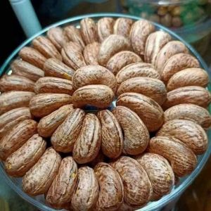 Hạt điều Bình Phước loại xếp hoa Hạt điều rang muối loại đặc biệt hạt điều Tết hạt điều loại 1 trọng lượng 1 kg -500gr