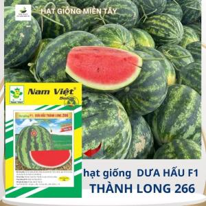 gói 500 hạt DƯA HẤU THÀNH LONG NAM VIỆT 266 SUPER GÓI 20GR