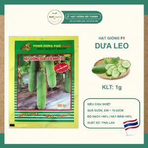 [EcoSeeds] Combo 2 Gói Hạt Giống Dưa Leo (Dưa Chuột) F1 - Siêu Chịu Nhiệt Sinh Trưởng Mạnh - Gói 1g